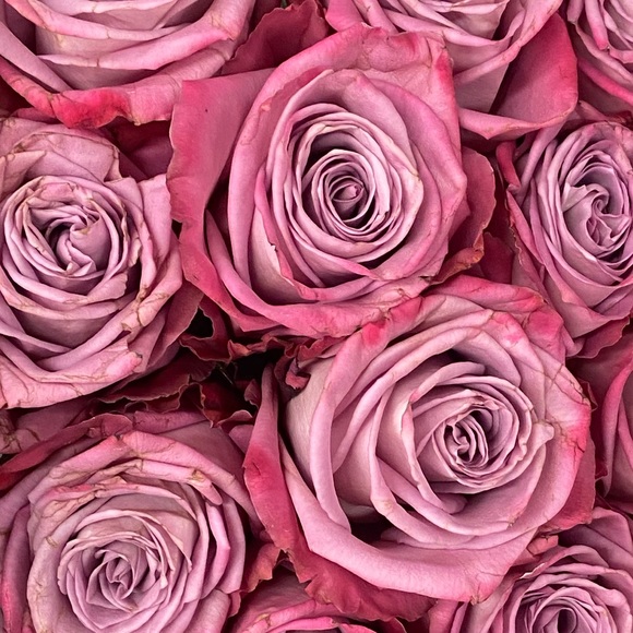 Meet your Posher, Heather - Picture 4 of 5